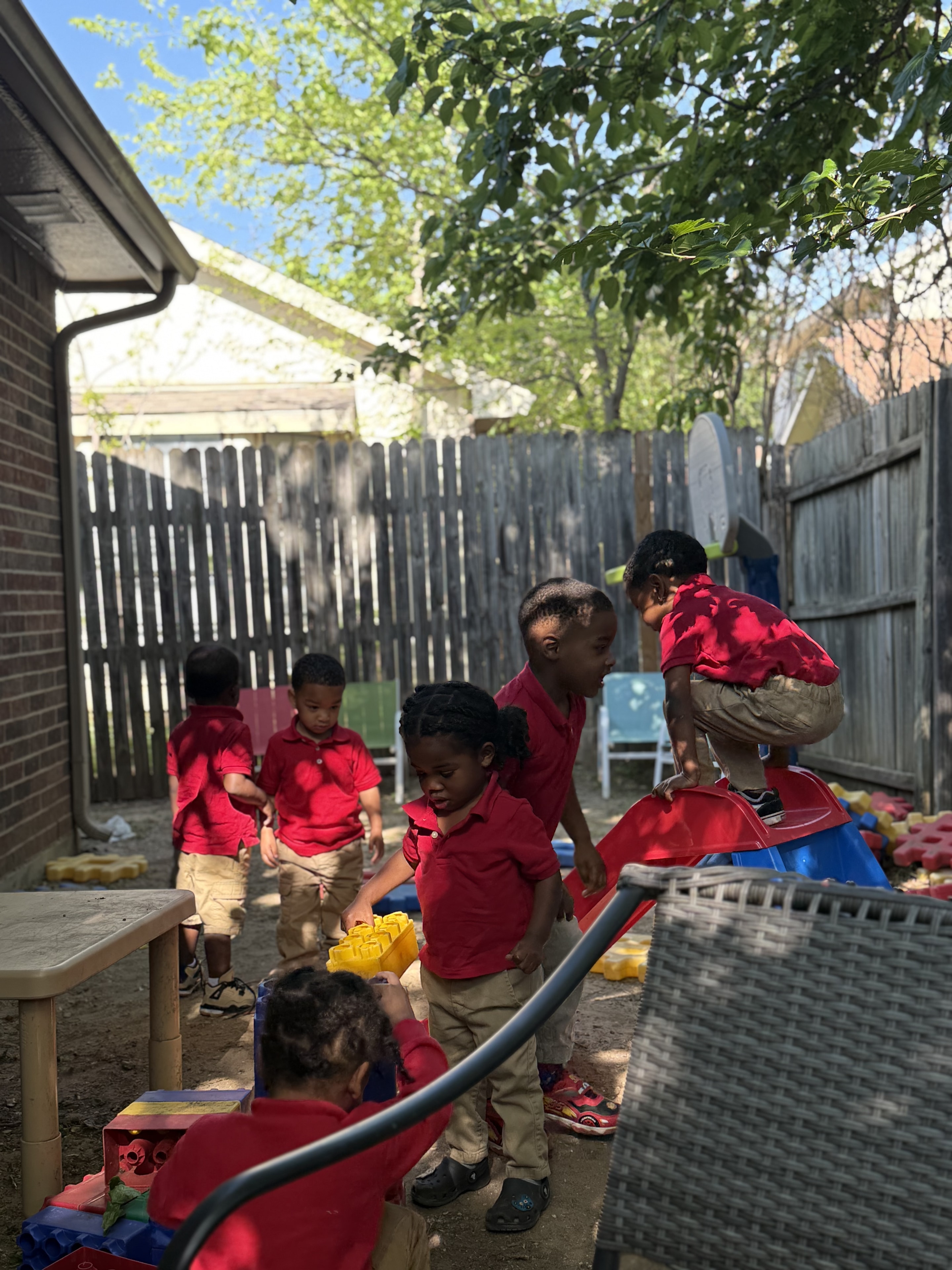Backyard Playtime